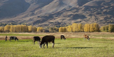 thumbs_b_c_ddf982ee80bfb89d7b13b78094b27b70