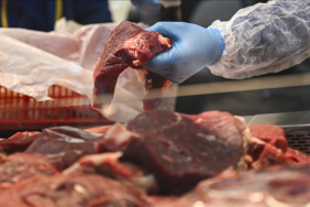 thumbs_b_c_e00b28b41aec88418069037222c45399