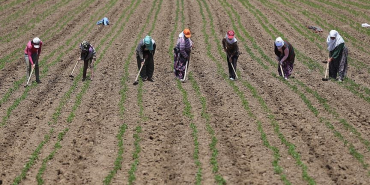 thumbs_b_c_06973899e079ba29b710f5e4b25271fc