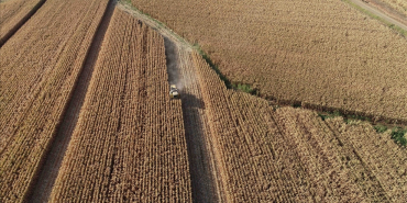 thumbs_b_c_14fde81a10847560b69279b44be7f0ea