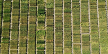 thumbs_b_c_34dc781306de335d6ef43b92c9973367