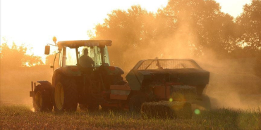 thumbs_b_c_44a446489d4b17588e1c14bd73117e6b