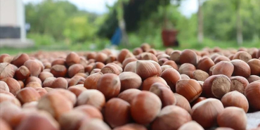 thumbs_b_c_48a7396562b9ba4ed0727336f033e34d