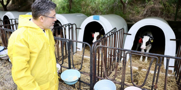 thumbs_b_c_4be6b613b24d0874b9dc50735ec4de9e