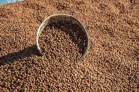 thumbs_b_c_8ff6849e769648bc7bacc2746e19662c