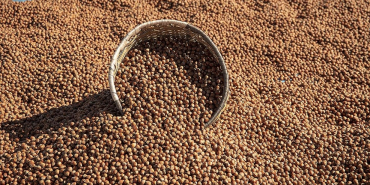 thumbs_b_c_8ff6849e769648bc7bacc2746e19662c