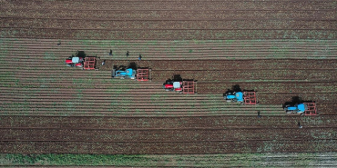 thumbs_b_c_a81373106dddc3a708036b11184fe229