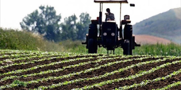 thumbs_b_c_ebae780398b94719f9109fdb6e52b929