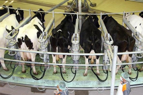 thumbs_b_c_f7ebbf328253d7d70862cb9ed772dcaf