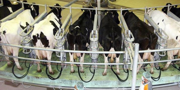 thumbs_b_c_f7ebbf328253d7d70862cb9ed772dcaf