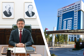 Personel Alımı Vitrin.