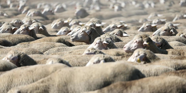 thumbs_b_c_0b042de864d2a91b2fb4502890a0da23