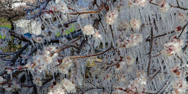 thumbs_b_c_1683e7f2d11ce513fb00a896d13714aa