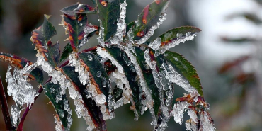 thumbs_b_c_2a40150104a6cb3e50e3ed989191c781