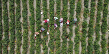 thumbs_b_c_3d981da51dbd9195f406ee4b62f518fd