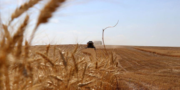 thumbs_b_c_57452442248fe6fe9444775f7d72e338