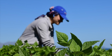 thumbs_b_c_62561cb1495662e5fc7183a84bfb439a