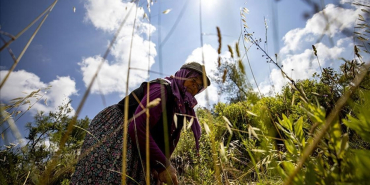 thumbs_b_c_630d45abd47602d08f9be5e4ddc0faec