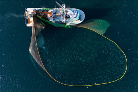 thumbs_b_c_6d253fd4c69208400510b65bef797b40