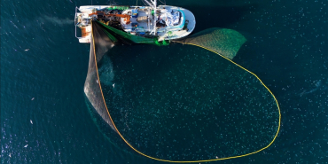 thumbs_b_c_6d253fd4c69208400510b65bef797b40