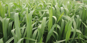 thumbs_b_c_8ef0addb3663a4e0e1f332a691f369d6