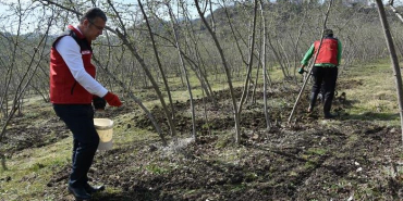 thumbs_b_c_f5c2ee7c1b18b8d87531feb4e895f749