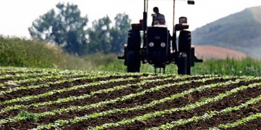 thumbs_b_c_fdfd812785570350177a1ed437c40baa