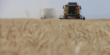 thumbs_b_c_26d8aecf81e8455b21f6e03ac30d577f