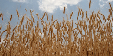 thumbs_b_c_46cc93d46a57aad9fc68bd1bf3930135