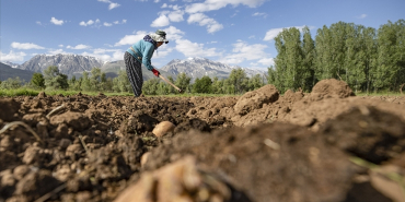 thumbs_b_c_57b4603a1512067fda8752f99f4a8dcf