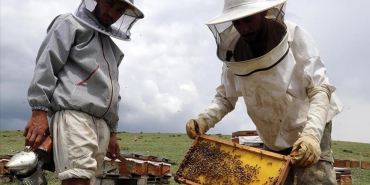 thumbs_b_c_6151927a14d4649f47d30cba2ed63bfb