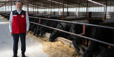 thumbs_b_c_78bdf538bb80f0ebe7542a53397845ef