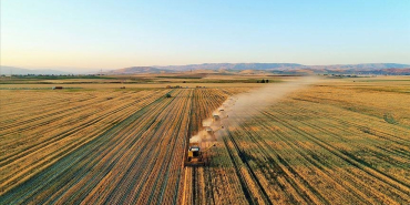 thumbs_b_c_94e33e663e14da6a2ac988053dac028d