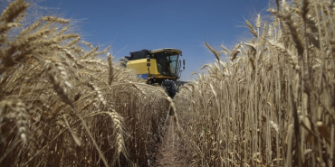 thumbs_b_c_abb7e220ed0a611de0825ba5fa17a26a