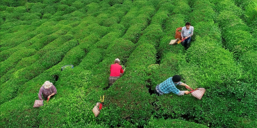 thumbs_b_c_aec8b1e6b8240399435adc05126f218a