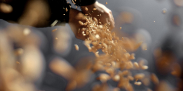 thumbs_b_c_c1e7d91f62c872adbc7c9d010100d636