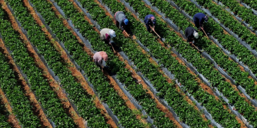 thumbs_b_c_d6cbb8e53ba0b9f311cd461a1dc85aaf