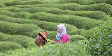 thumbs_b_c_e453a55b9ac2243ec44be654bf0bd5ad