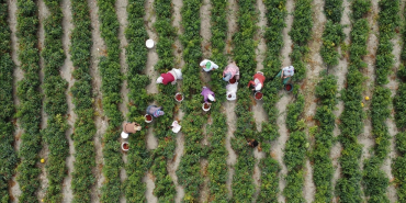 thumbs_b_c_ede5eddeb119c2e928f48dcf2fb60c8b