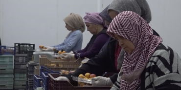 thumbs_b_c_fcf3146560d98f4b4a674dc75c23ef51