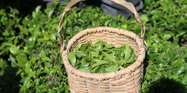 thumbs_b_c_ff7b82df5832b25dd261b257110f1367