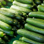 salatalikjpg-N7jQMiYnJEetpeT7iH3Wtw