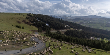 thumbs_b_c_03f6d33e51e0aea3ae2b87ad29869c9d