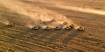 thumbs_b_c_11cbd740f198274153912e435a4b2695