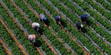 thumbs_b_c_4067beb25e99f7db783e19edd86399d4