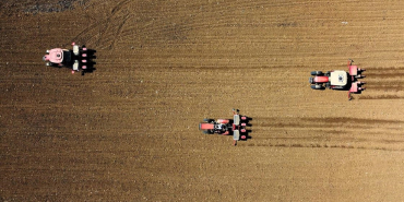 thumbs_b_c_5d6ab5481f77e5659b59c59dc53559d6