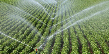 thumbs_b_c_91f3b830dcbc1fb29ef5da5039bbbfd0