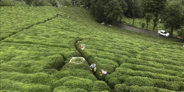 thumbs_b_c_93ebfcd36e5bbea519f37b1d98267862