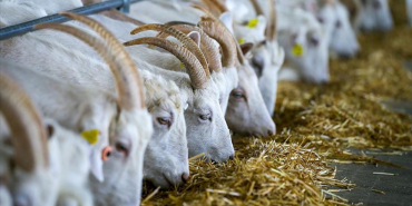 thumbs_b_c_b96197526acbdfed7f0f418f00618e77