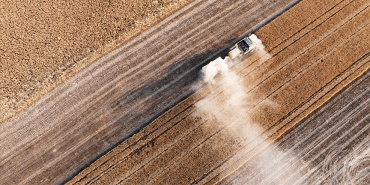 thumbs_b_c_cae784932fd96e7aac9a4a66cc03b900